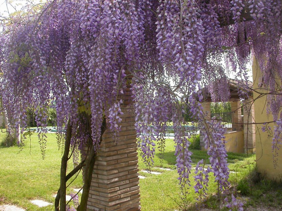 Casavacanze Sant'Eugenia Attigliano Esterno foto